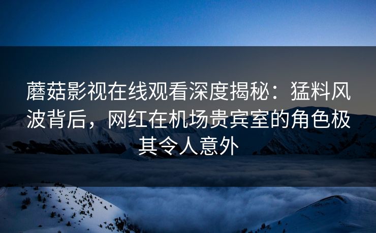 蘑菇影视在线观看深度揭秘：猛料风波背后，网红在机场贵宾室的角色极其令人意外