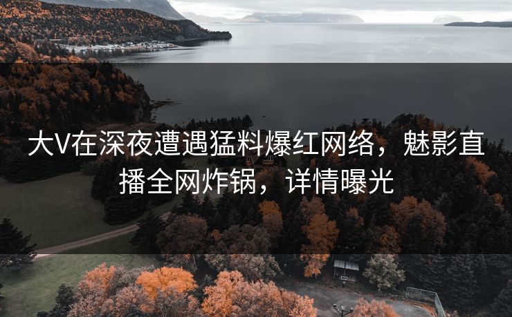 大V在深夜遭遇猛料爆红网络，魅影直播全网炸锅，详情曝光