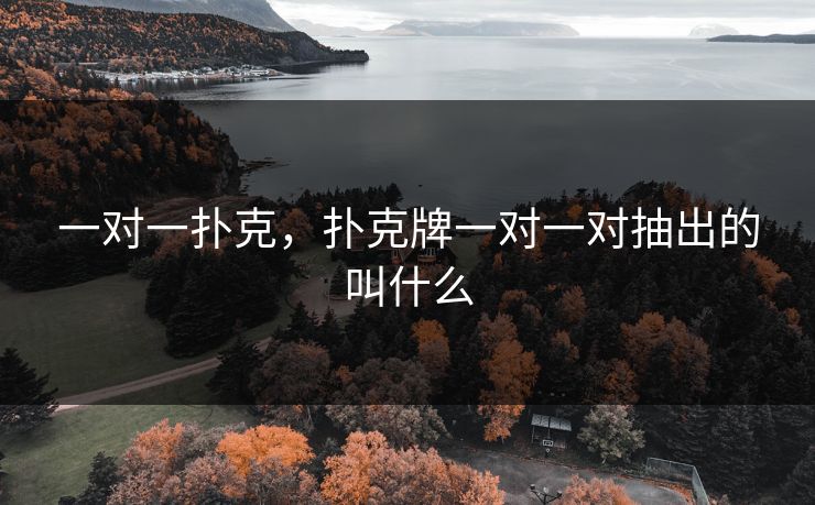 一对一扑克,扑克牌一对一对抽出的叫什么
