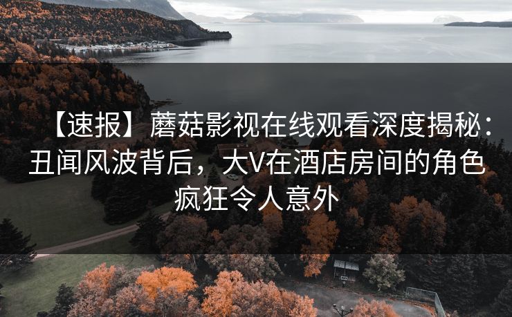 【速报】蘑菇影视在线观看深度揭秘：丑闻风波背后，大V在酒店房间的角色疯狂令人意外
